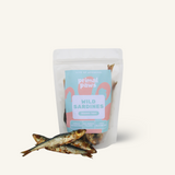 Wild Sardines