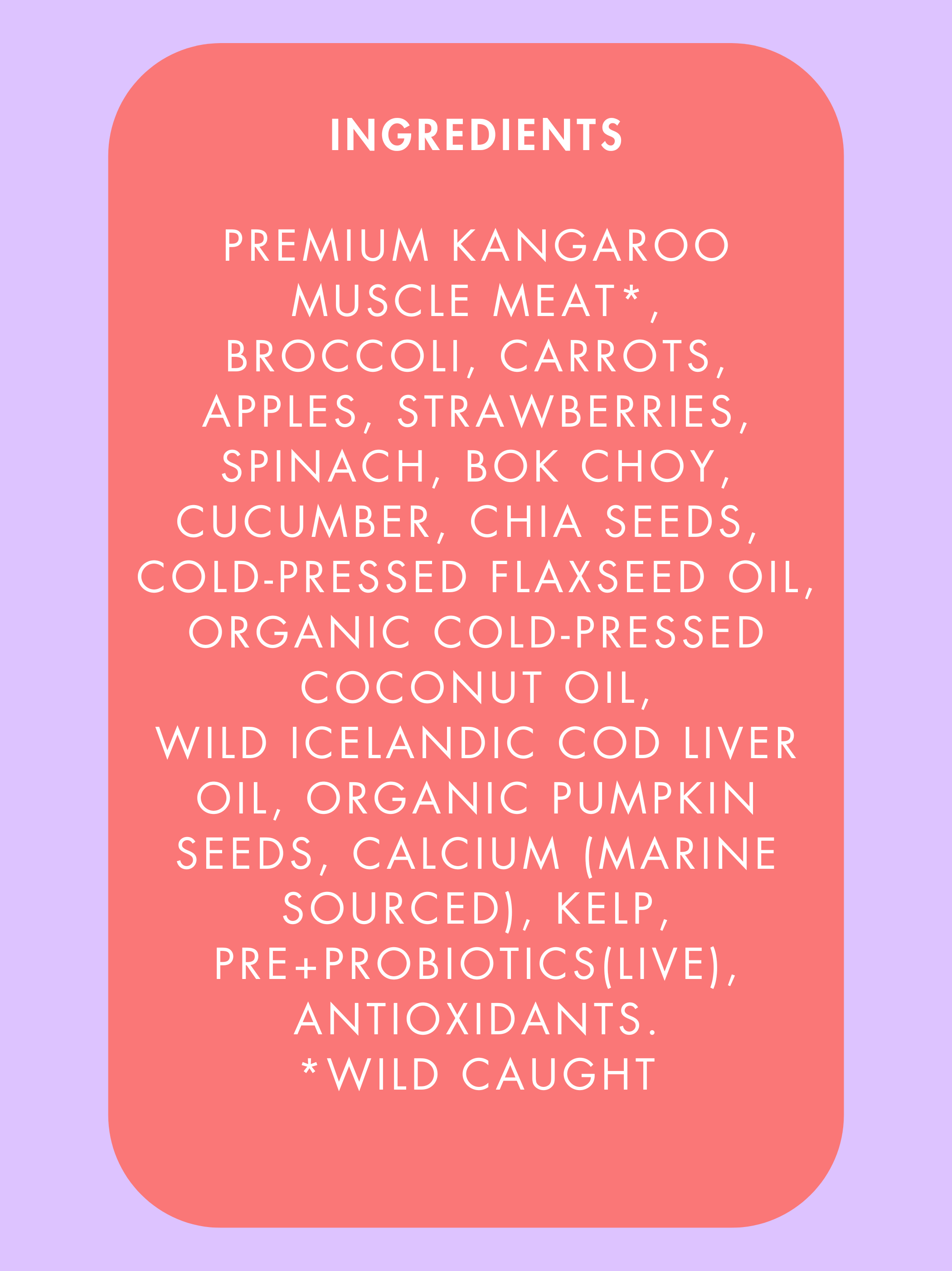 Wild Kangaroo 🦘