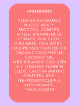Wild Kangaroo 🦘