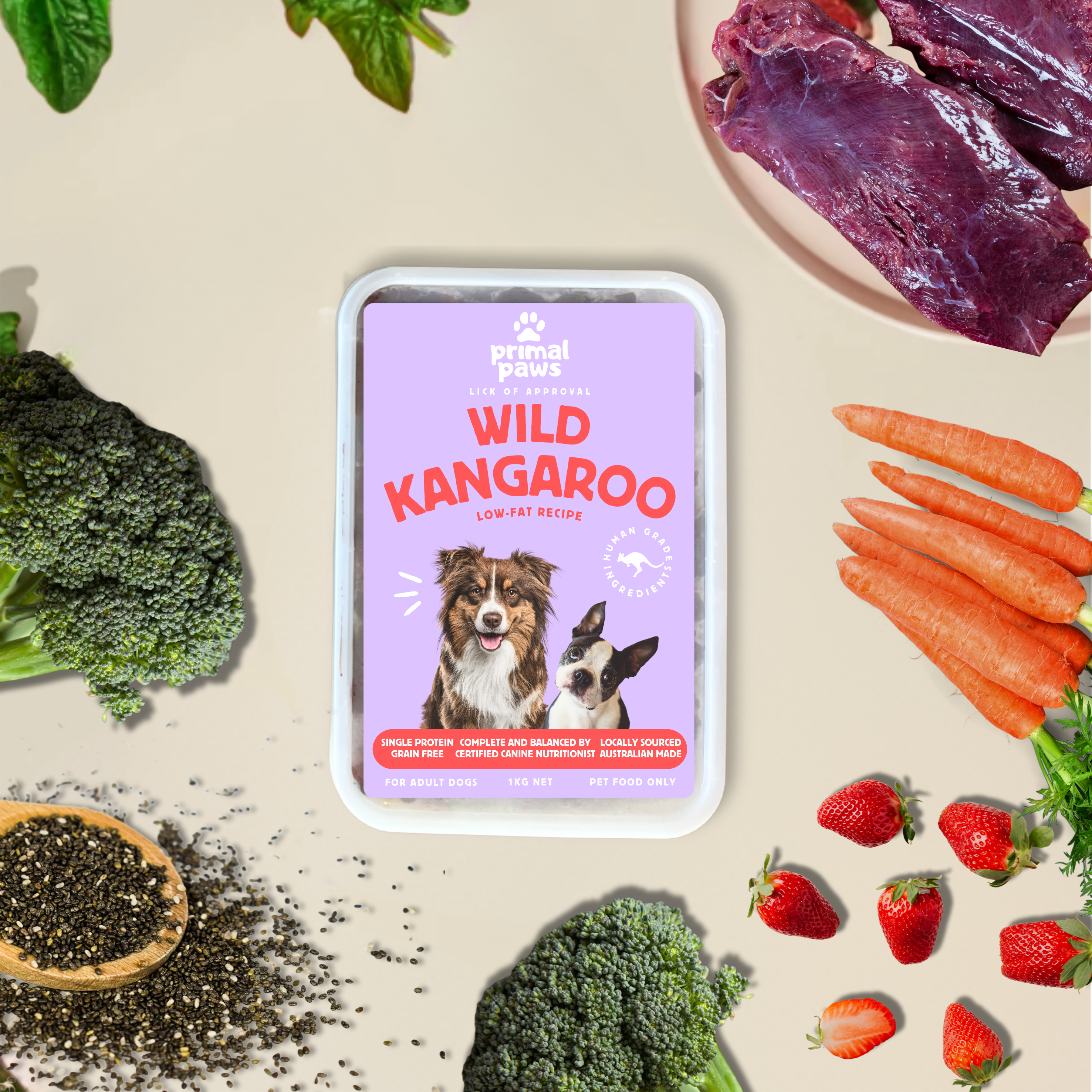 Wild Kangaroo 🦘